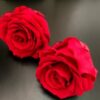 стабилизированная роза22 красная11