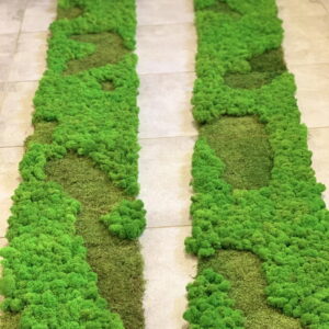Moss panels